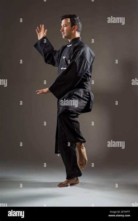 Tai Chi instructor martial arts Stock Photo - Alamy