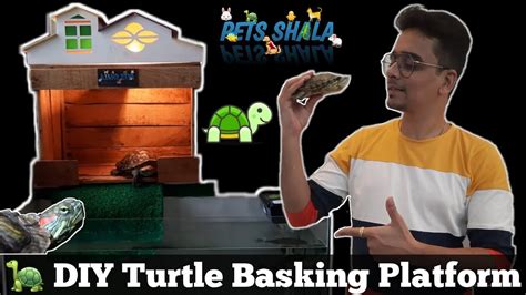 Diy Turtle Basking Platform How To Make Turtle Basking Area Diy