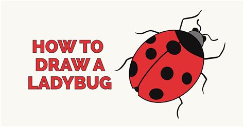 How To Draw A Ladybug Really Easy Drawing Tutorial