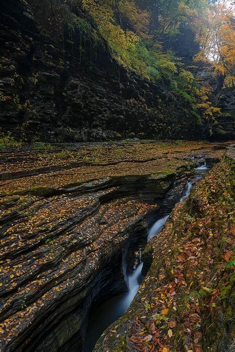 Autumn at the Narrows of Watkins Glen | Watkins Glen State Park, NY ...