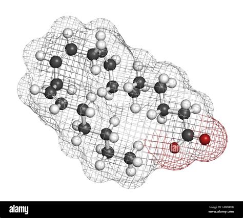 Dihomo-γ-linolenic acid (DGLA) fatty acid molecule. Omega 6-fatty acid ...