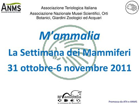 PPT M Ammalia La Settimana Dei Mammiferi 31 Ottobre 6 Novembre 2011