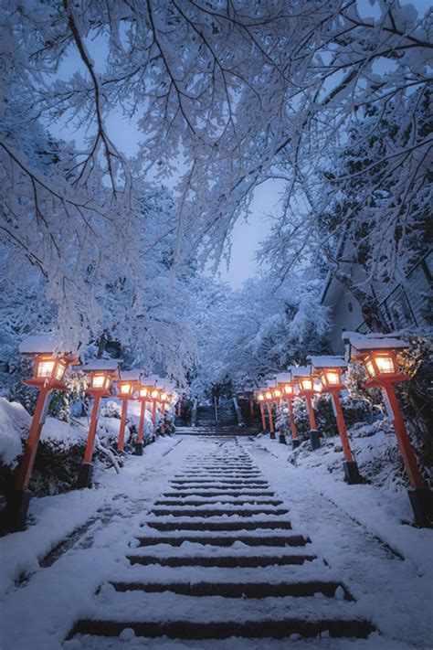 雪で幻想的な京都の神社 詩情豊かな風景写真が美しい（12 ページ） ねとらぼ