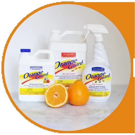 Shield Your Space The Definitive Guide To The Best Pest Control Products By Orange Guard