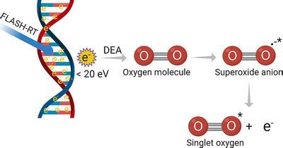 Illustration Of The Dissociative Electron Attachment DEA Process In