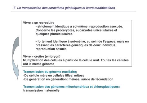 Transmission Des Caract Res G N Tiques