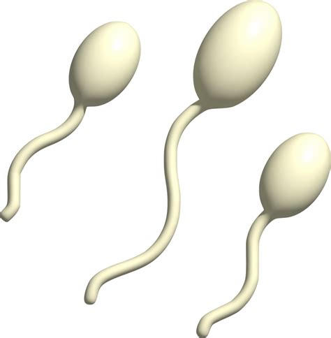 Free D Illustration Of Sperm Png With Transparent Background The Best