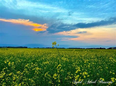 Millet, Alberta : r/canada