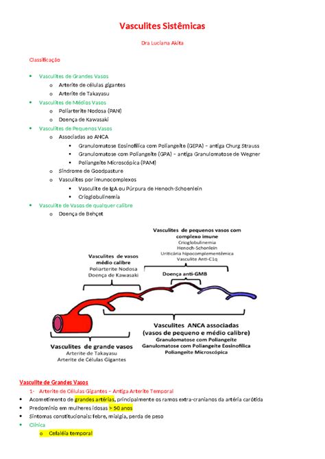 Aula 7 vasculites sistêmicas Vasculites Sistêmicas Dra Luciana Akita