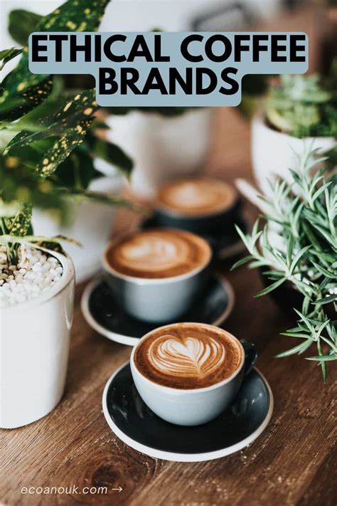 The Ultimate Guide To Ethical Coffee Brands