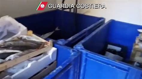 Palermo Sequestrati Chili Di Pesce Nei Mercatini Rionali E Ai