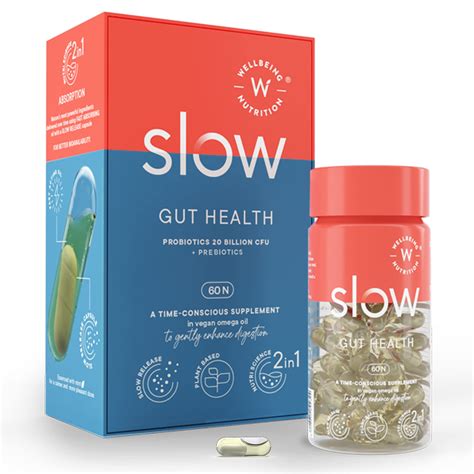 Buy Wellbeing Tion Slow Gut 20 Billion Cfu Probiotic And Prebiotic In Vegan Omega 3 Oil Gut