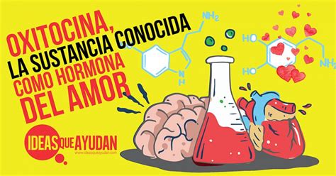 Oxitocina La Sustancia Conocida Como Hormona Del Amor