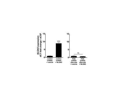 Neuronal Activity Promotes Glioma Growth Through Neuroligin 3 Secretion