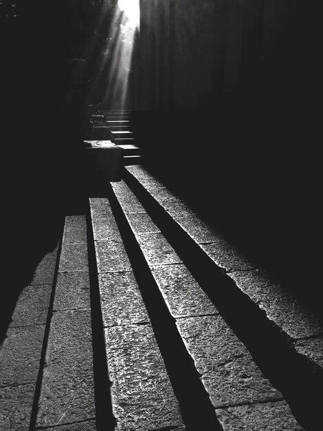 premium photo  angle view  trees