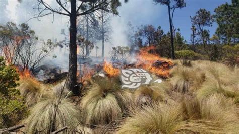 Controlado En 80 Incendio En Faldas Del Pico De Orizaba