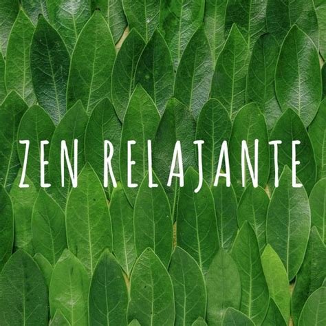 Zen Relajante Música Zen Con Los Mejores Sonidos De La Naturaleza