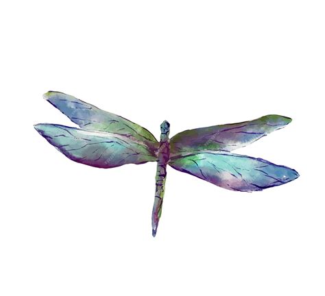 Premium Vector | Blue dragonfly watercolor illustration