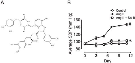 Figure From Treatment With Salvianolic Acid B Restores Endothelial