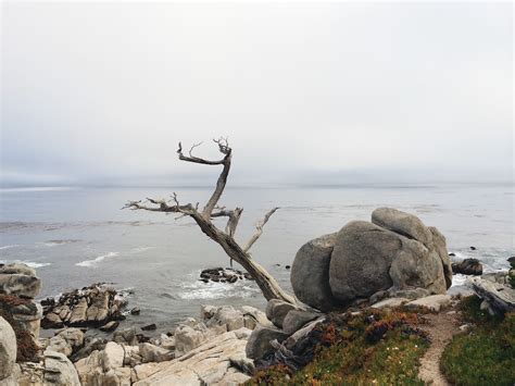 Free Images Beach Sea Coast Rock Ocean Shore Wave Cliff Bay