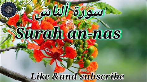 surah an nas 114 سورة الناس must beautiful recitation in quran kareem