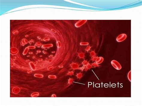 Blood Transfusions Ppt Ppt