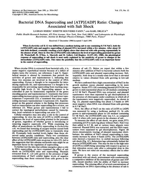 Pdf Bacterial Dna Supercoiling And Atp Adp Ratio Changes