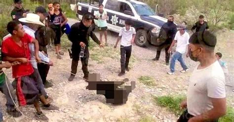 Matan a pequeño oso negro en Coahuila Identifican a responsables