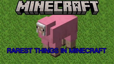 Top Rarest Things In Minecraft Youtube