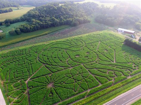 corn maze Archives – Treinen Farm Corn Maze & Pumpkin Patch