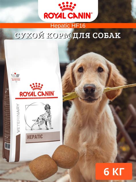 Сухой корм Royal Canin Hepatic HF16 диета для собак 6кг купить с