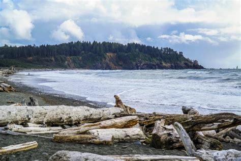 Forks Washington - Beyond The Tent