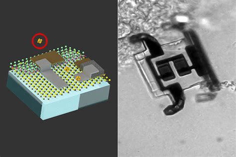 Mit Engineers Develop Microscopic Batteries Designed To Power Cell