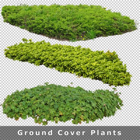 Cutout Plants V04 Graphics For Landscape Architecture Visualization