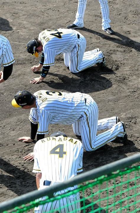 秋季キャンプ初日に9時間半の猛練習 大山、木浪は志願の早出特守阪神タイガースデイリースポーツ Online