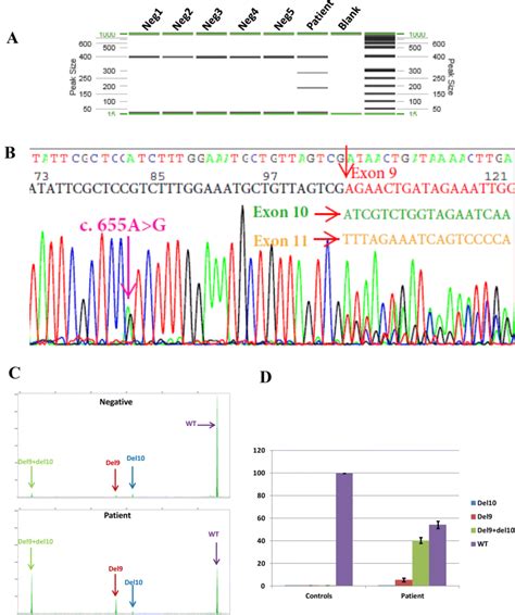 Rt Pcr Analysis Demonstrates Mlh1 C678 3ta Leads To Exon 9 Or Exons 9