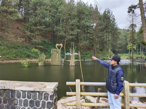 Bakal Jadi Wisata Edukasi Ini Danau Dengan Pemandangan Hutan Pinus Di