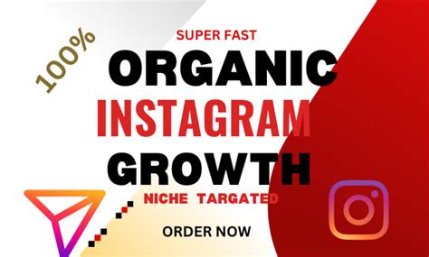 Manage Super Fast Instagram Organic Growth By Jkhatun 1987 Fiverr