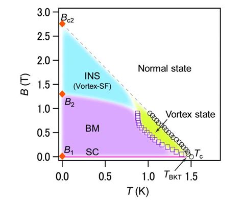 A Peculiar Ground State Phase For Superconductor NbSe2 It S A Bose