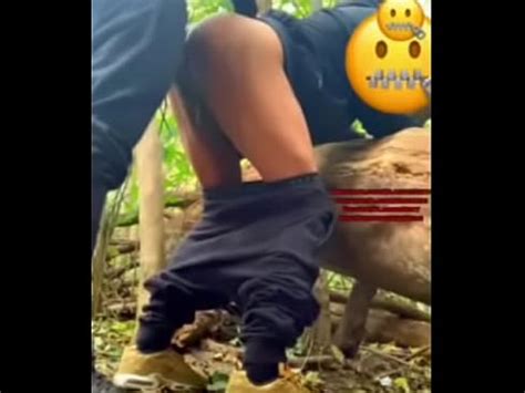 Polvo Crudo En El Parque Y Chorreo De Leche En El Interior Xvideos