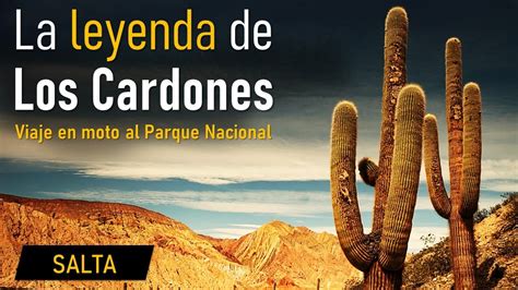 Parque Nacional Los Cardones Historia Paisajes Leyendas Y