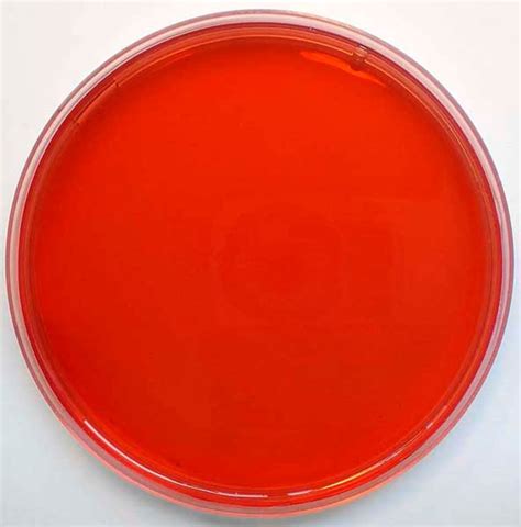 Scharlab MacConkey Agar Medium H Eur Pharm HP Mac Conkey Agar N