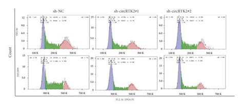 Circptk2 Knockdown Inhibits Cell Proliferation And Induces Cell Cycle Download Scientific