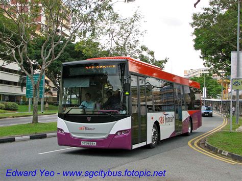 XTRA - Singapore buses - SBS Transit - New Scania K230UB single deck buses