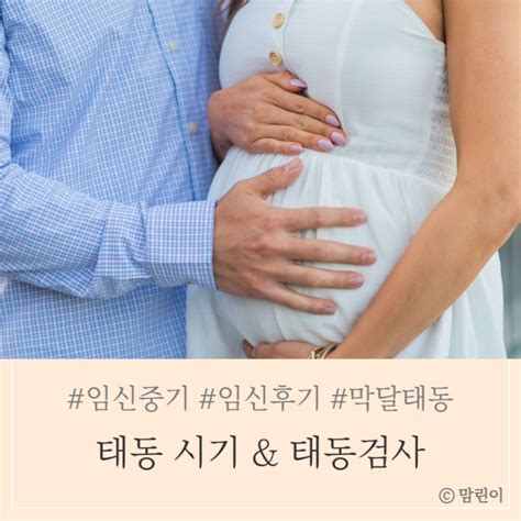 임신중기 태동 느끼는 시기 임신후기 막달 태동검사 네이버 블로그