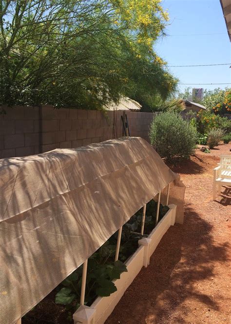 Barry Et C Cile Sun Shade For Our Vegetable Garden