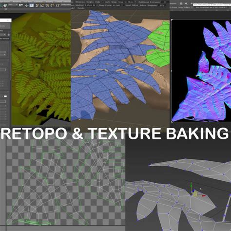 3dcoat Retopology Of A Photogrammetry Fern Model And Texture Baking In