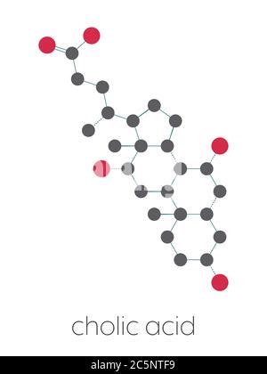 Cholic Acid Cholate Molecule Main Bile Acid Component Blue Skeletal