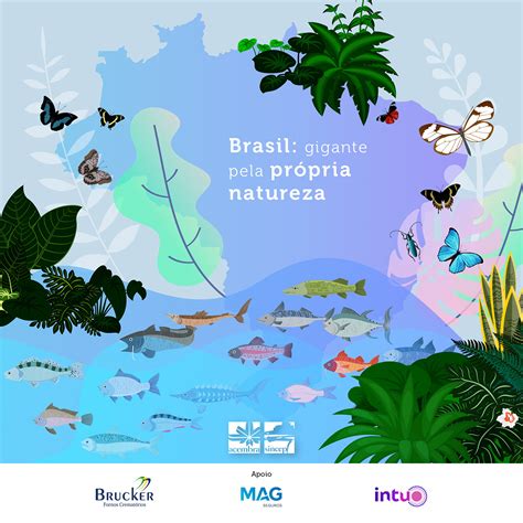 Jul Biodiversidade Brasileira Acembra Sincep News