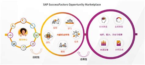 四川省人力资源服务行业协会 理论研究 Sap携手hrflag重磅发布《dhr星球进化论：重塑人才与组织发展的技术和体验》白皮书